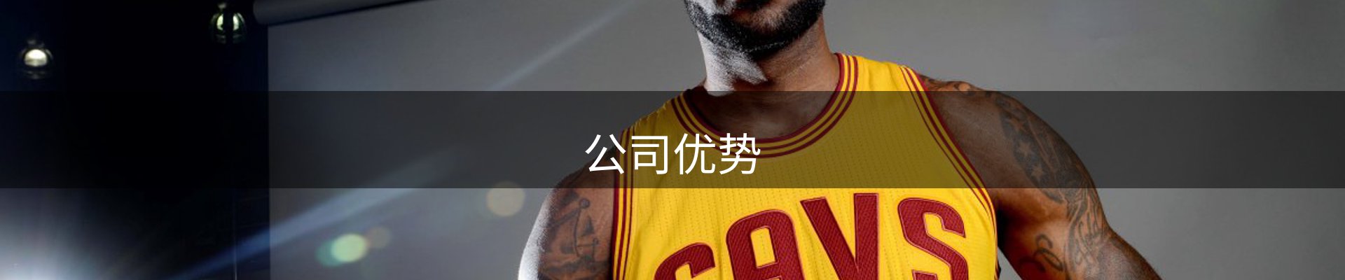 公司优势
